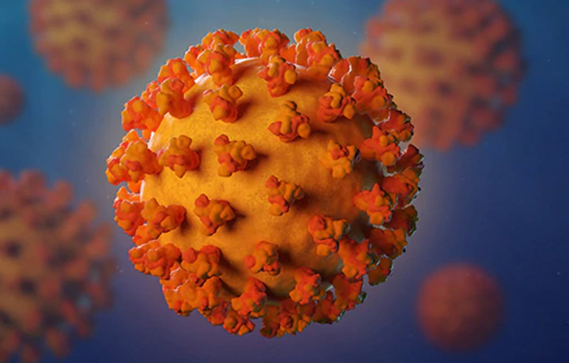 Conocer el Coronavirus